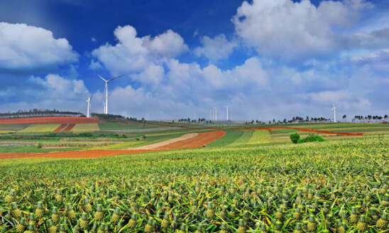 1562658725889247.jpg 1562658725889247.jpg