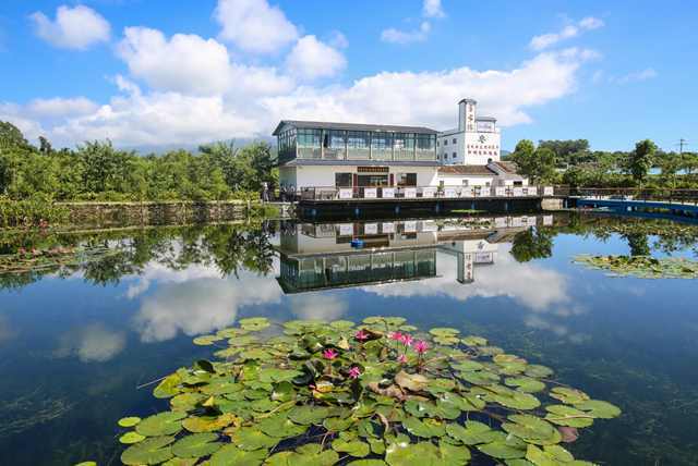 博罗县松树岗村书吧 博罗县松树岗村书吧