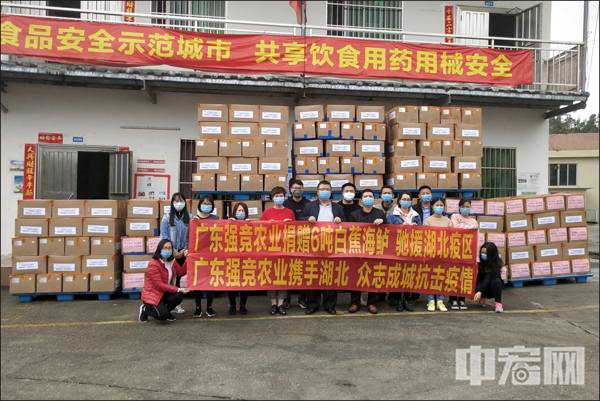 1582194765568109.jpg 1.jpg