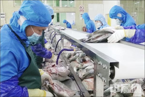 1582194786126913.jpg 4.jpg