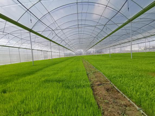 1582860706202448.png 图片1.png