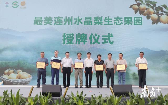 “最美连州水晶梨生态果园”授牌 “最美连州水晶梨生态果园”授牌