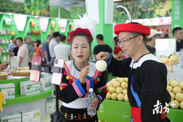 连州水晶梨推介 连州水晶梨推介