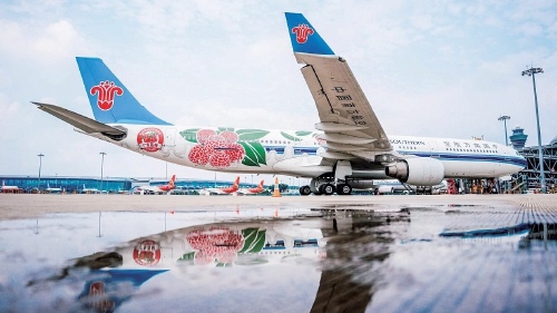 看“粤”字号农产品出口如何“逆风起飞”