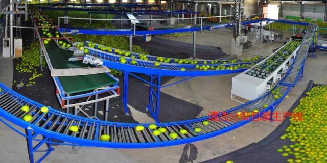 清洗分级包装生产设备线