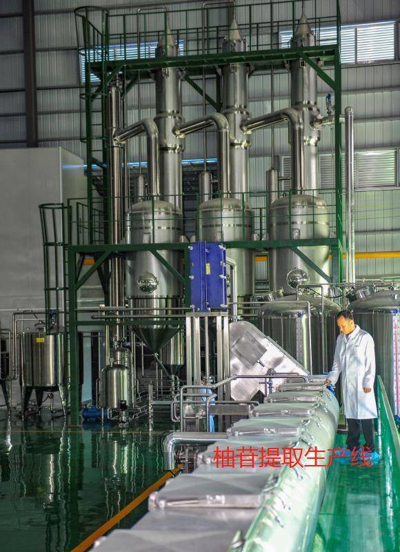 柚苷提取生产线