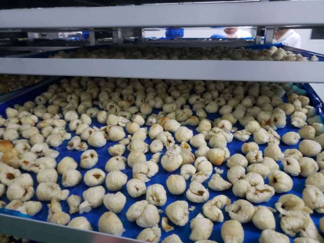 经过加工的荔枝冻干