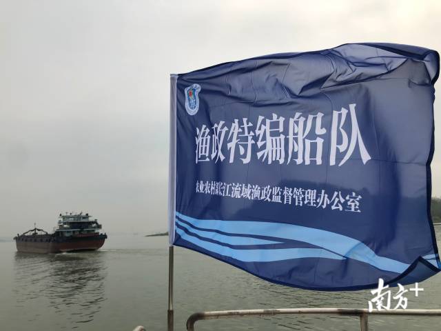 珠江渔政执法特编船队首次开展联合巡航执法。受访者供图