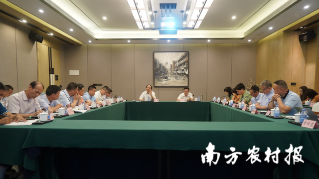 2021年茂名荔枝市场体系建设工作座谈会在茂名召开。 2021年茂名荔枝市场体系建设工作座谈会在茂名召开。