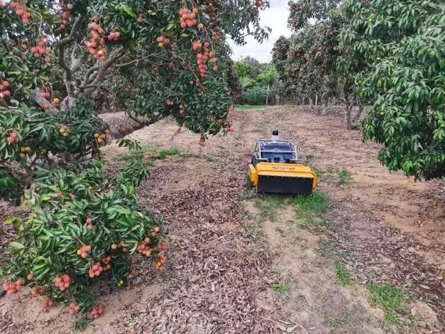 智能除草机 智能除草机