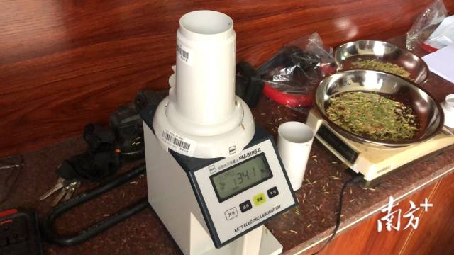 用于测量稻谷含水率的谷物水分测量仪