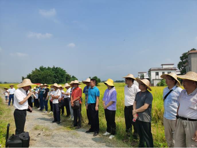 1629156556325035.png?x-oss-process=style/w10 image.png?x-oss-process=style/w10