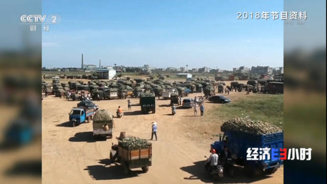 2018年菠萝滞销时场景 2018年菠萝滞销时场景