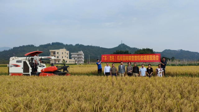 现场会采取“示范+试验验证”的方式推广机收减损技术。