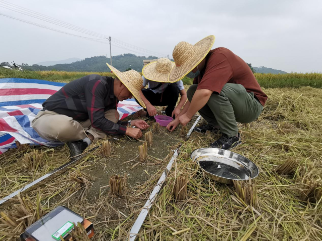 调查组进行损失数据采集。