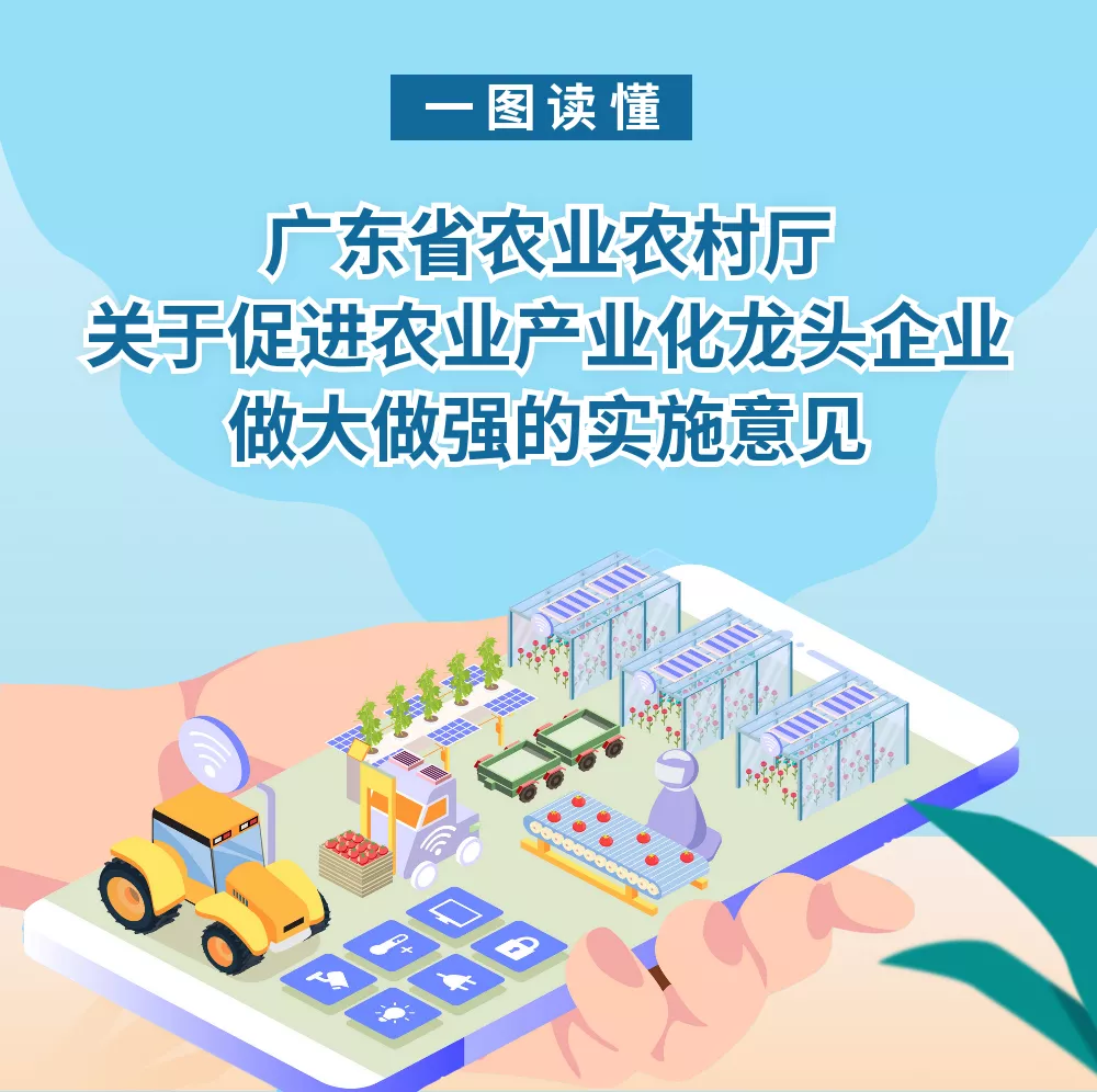 一图读懂！促进农业产业化龙头企业做大做强，广东这样做→