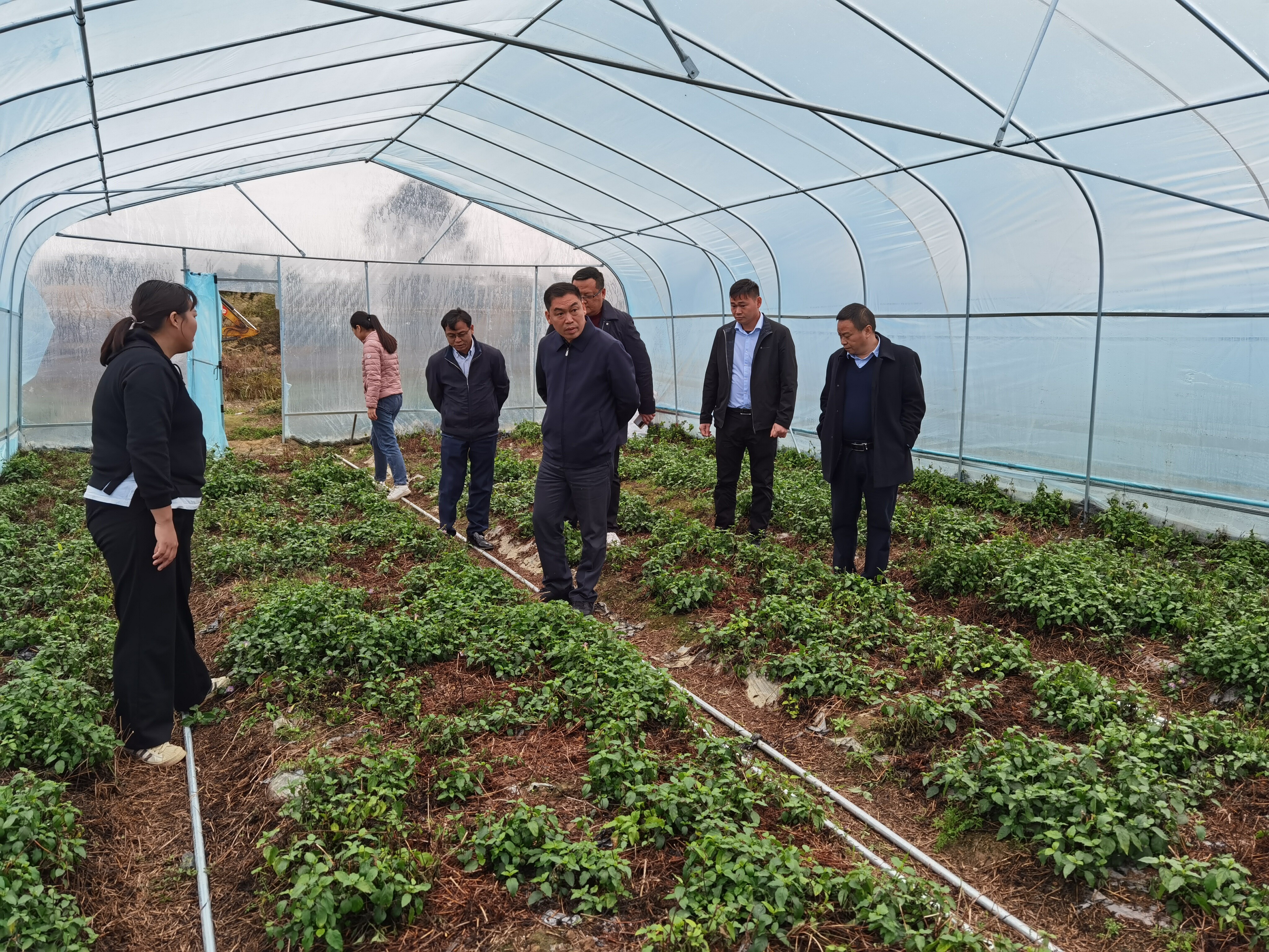 2022）2期  郭成战副市长带队督导检查农业领域岁末年初安全防范工作_3
