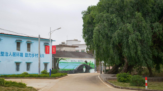 加强乡村风貌建设,打造美丽宜居乡村