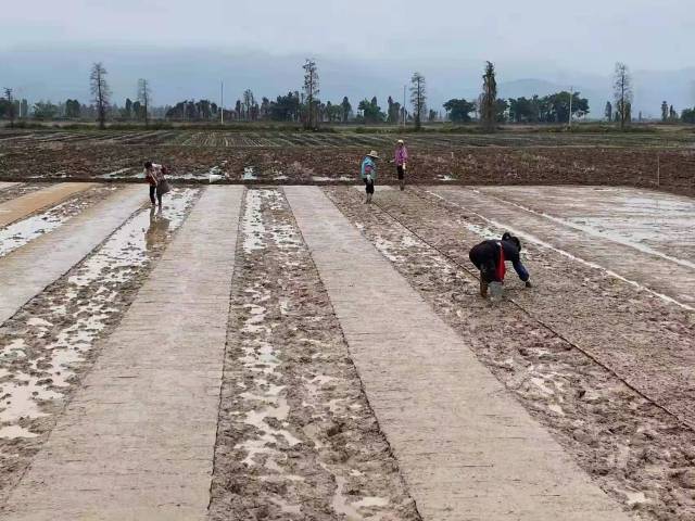 位于江门台山市都斛镇的农户开始备耕 位于江门台山市都斛镇的农户开始备耕