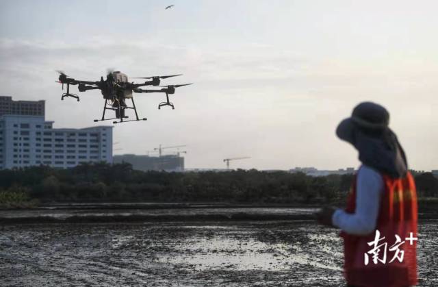 各地强化农机装备支撑。 各地强化农机装备支撑。