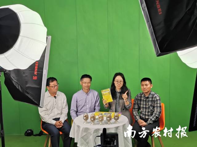 专家直播现场分享花生、大豆种植实用技术 专家直播现场分享花生、大豆种植实用技术