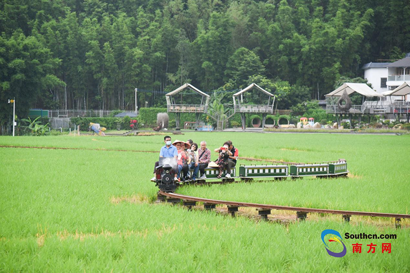 米埗村小火车游赏项目.jpeg