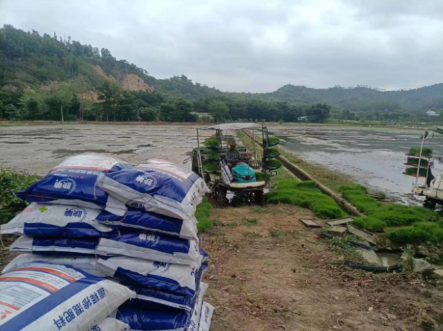 2022年早造作业现场 2022年早造作业现场