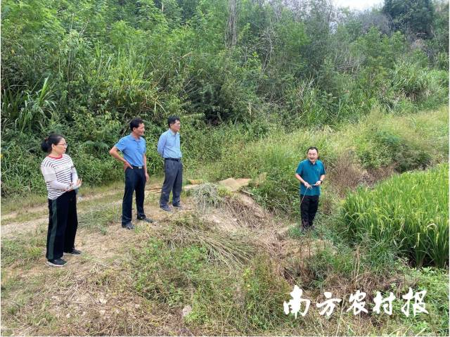 蕉岭县、镇、村领导检查托管作业现场 蕉岭县、镇、村领导检查托管作业现场