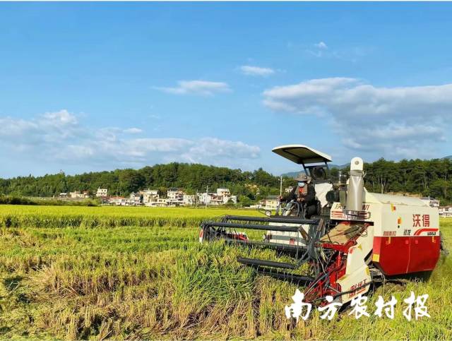 蕉岭县桃花源联合社开展生产托管工作 蕉岭县桃花源联合社开展生产托管工作