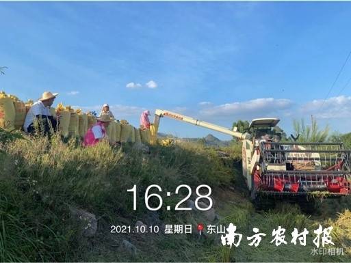 联合社生产托管现场 联合社生产托管现场