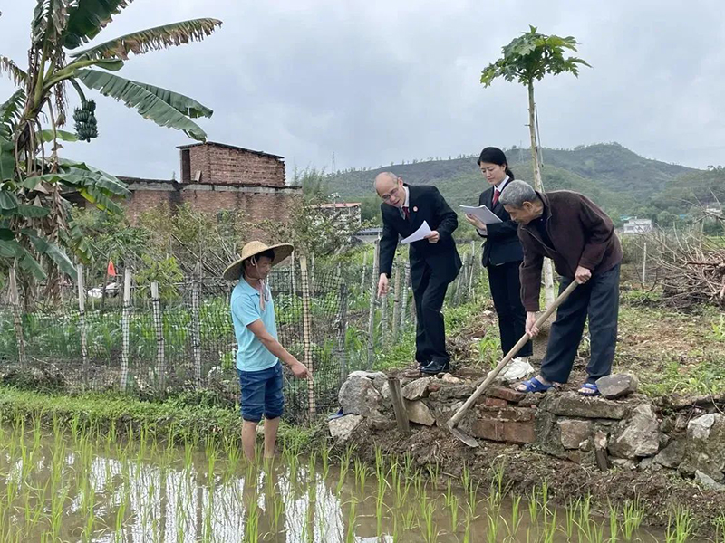 法官在稻田边丈量四至.jpg