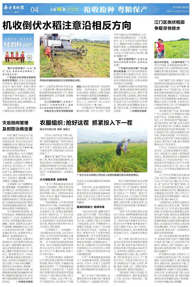 南方农村报 杨吉龙 拍摄