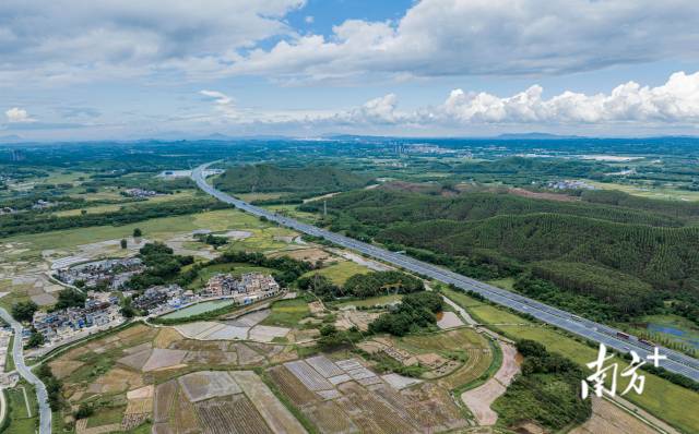 7月8日下午,江门恩平,高速路旁的水稻田多数已完成收割。 7月8日下午,江门恩平,高速路旁的水稻田多数已完成收割。