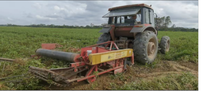 花生收获机正在进行机械化作业 花生收获机正在进行机械化作业