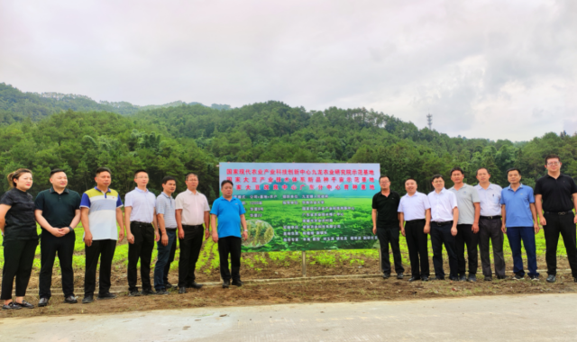 揭牌仪式现场。