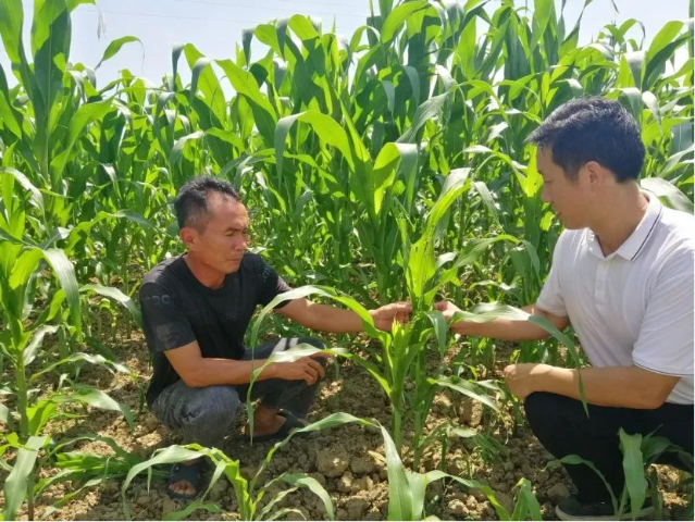 1662284803835598.png?x-oss-process=style/w10 图片