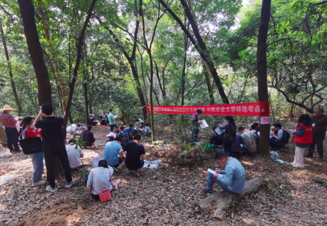 林地考试现场 林地考试现场
