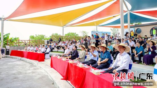 2023年多彩乡村系列实践活动在广东江门启动。 作者 广东省人民政府地方志办公室 供图 2023年多彩乡村系列实践活动在广东江门启动。 作者 广东省人民政府地方志办公室 供图