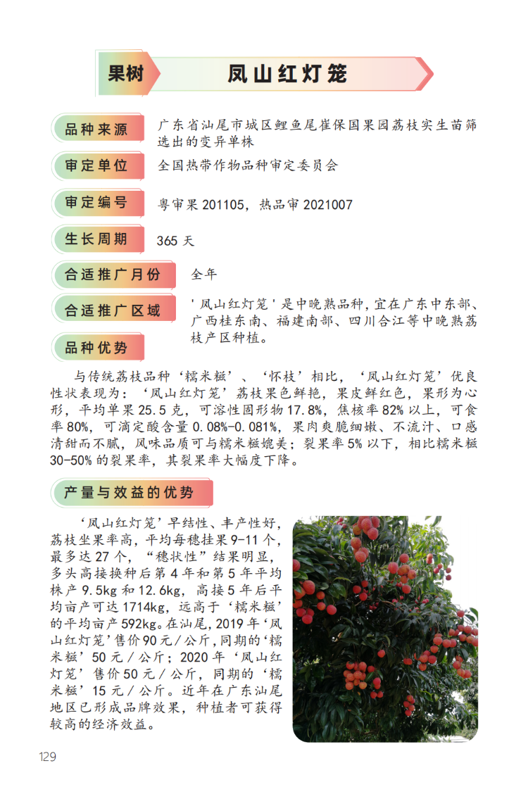 2023年主导品种:凤山红灯笼-1.png
