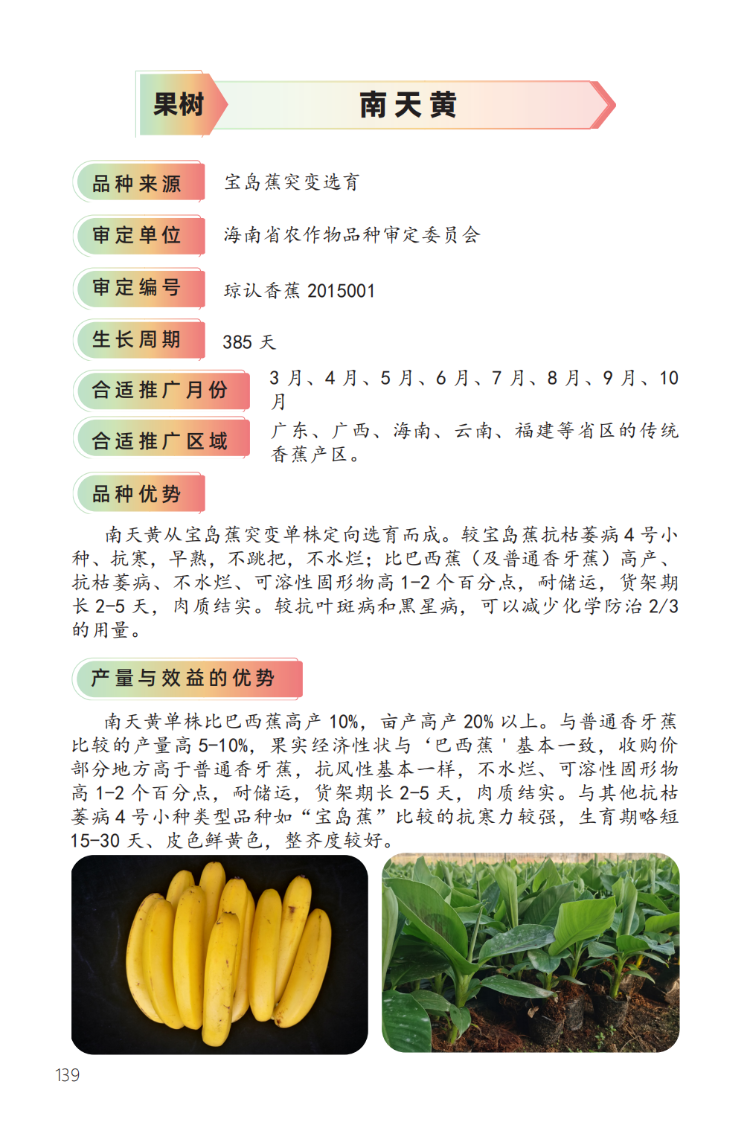 2023年主导品种:南天黄-1.png
