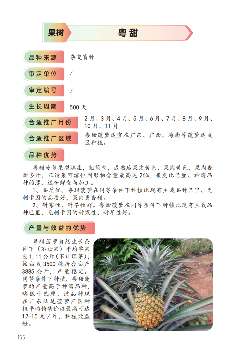 2023年主导品种:粤甜-1.png