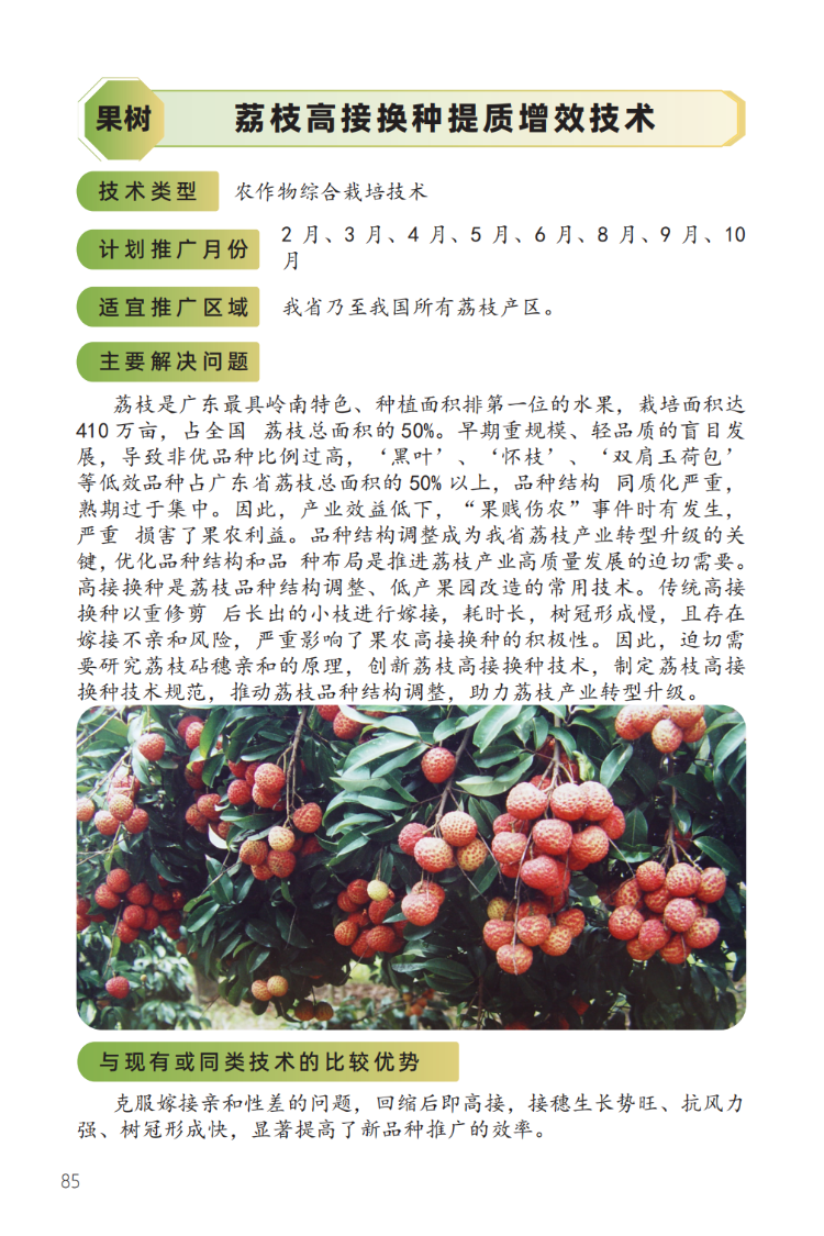 2023年主推技术:荔枝高接换种提质增效技术-1.png