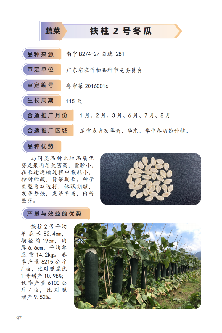 2023年主导品种:铁柱2号冬瓜-1.png