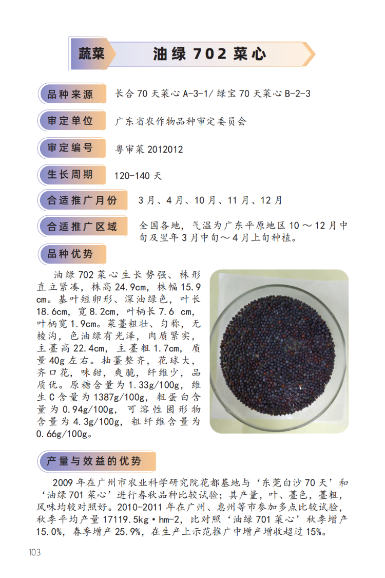 2023年主导品种：油绿702菜心-1.png