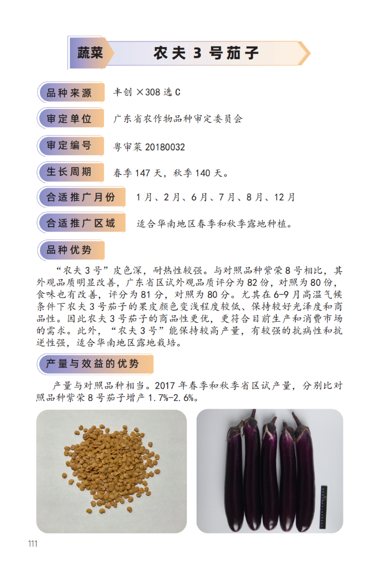 2023年主导品种:农夫3号茄子-1.png