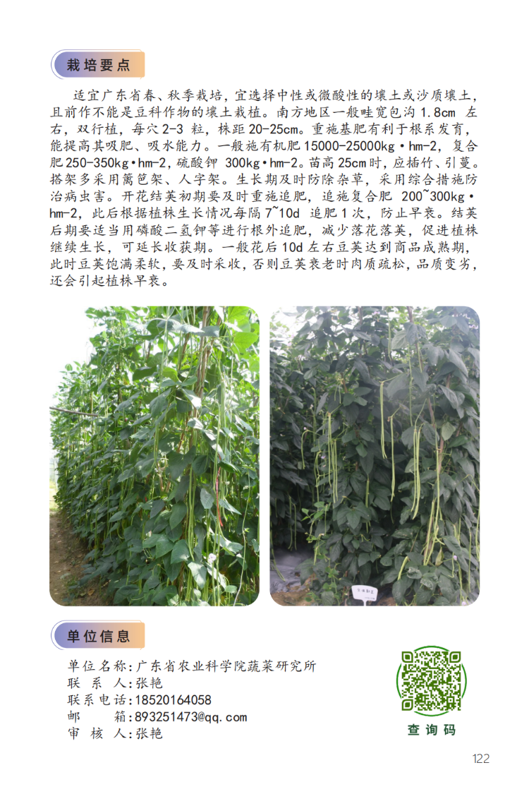 2023年主导品种:宝佳豇豆-2.png