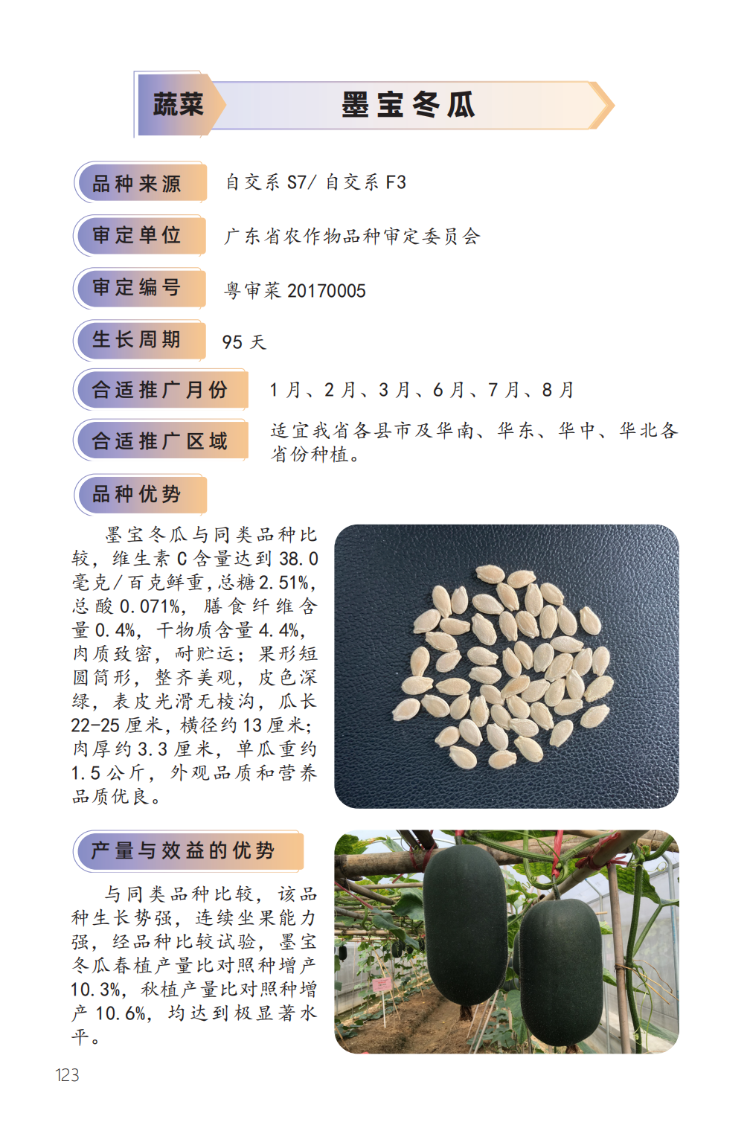 2023年主导品种:墨宝冬瓜-1.png