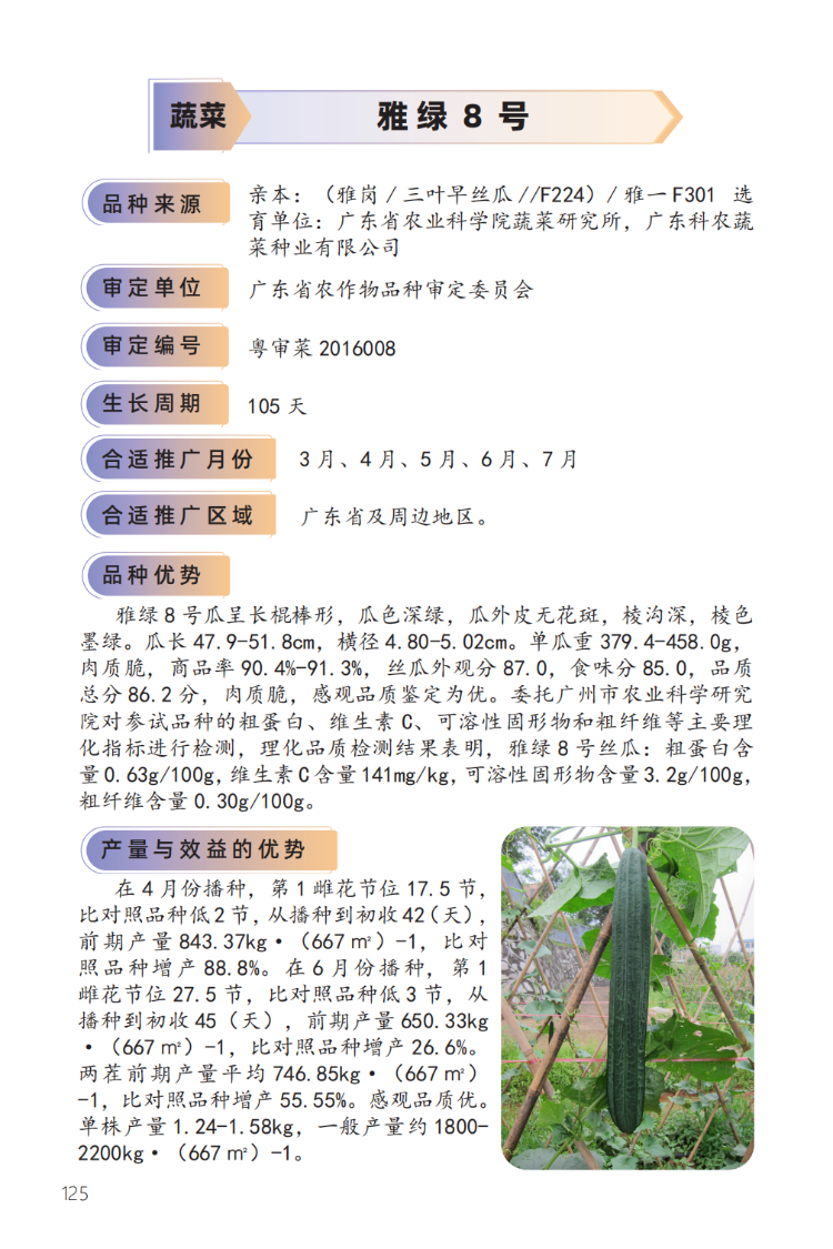 2023年主导品种:雅绿8号-1.png