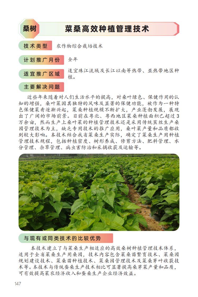 菜桑高效种植管理技术-1.png