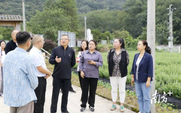 实地调研。 实地调研。